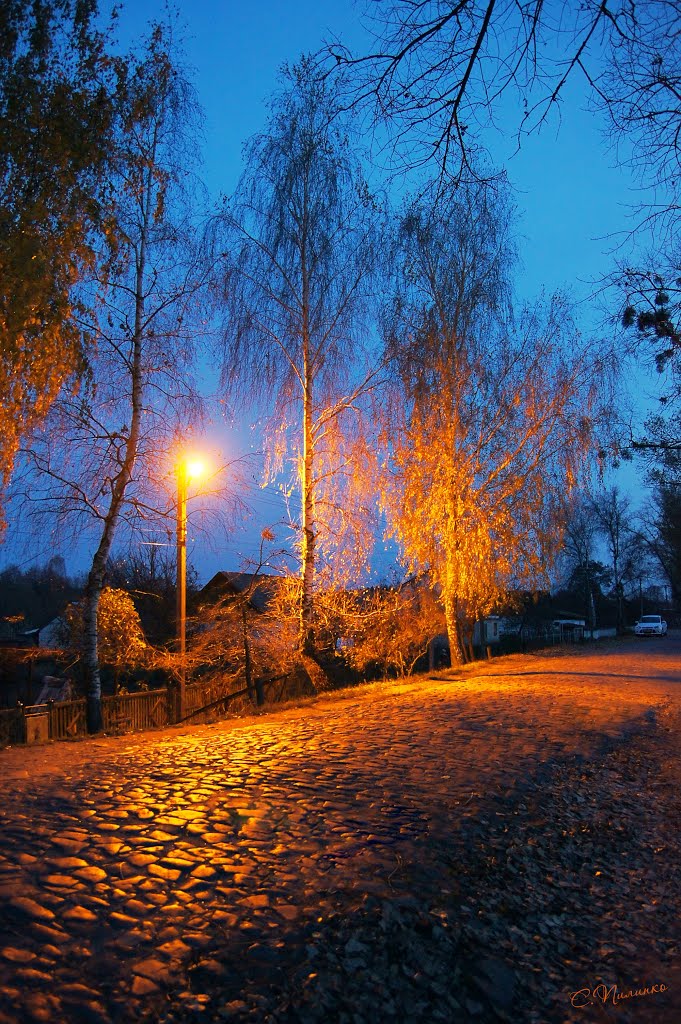 Вечер на сельской улочке/ Village street in the evening