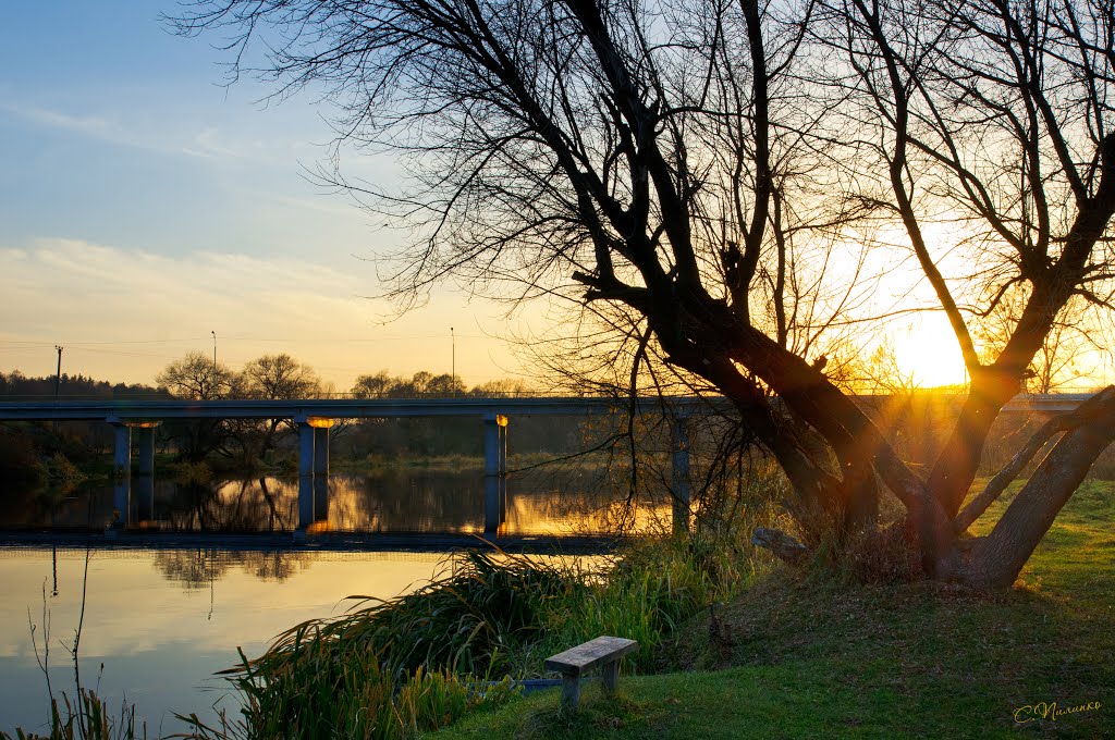 Скамейка у реки / Bench near the river