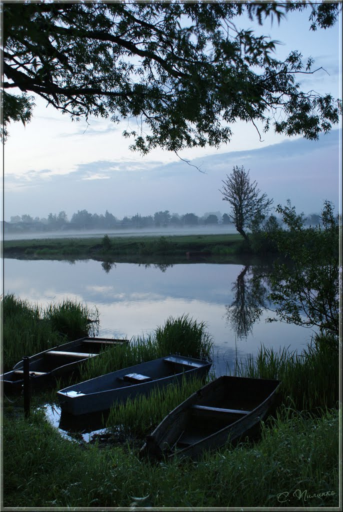 Вечерняя прохлада./ Evening coolness