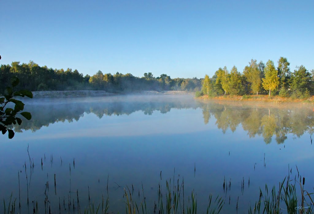 Утро на озере / Morning on the Lake