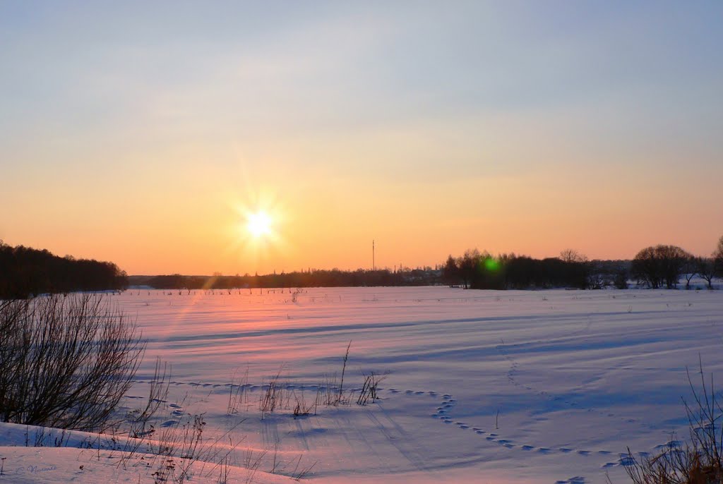 Конец зимнего дня / End of Winter Day