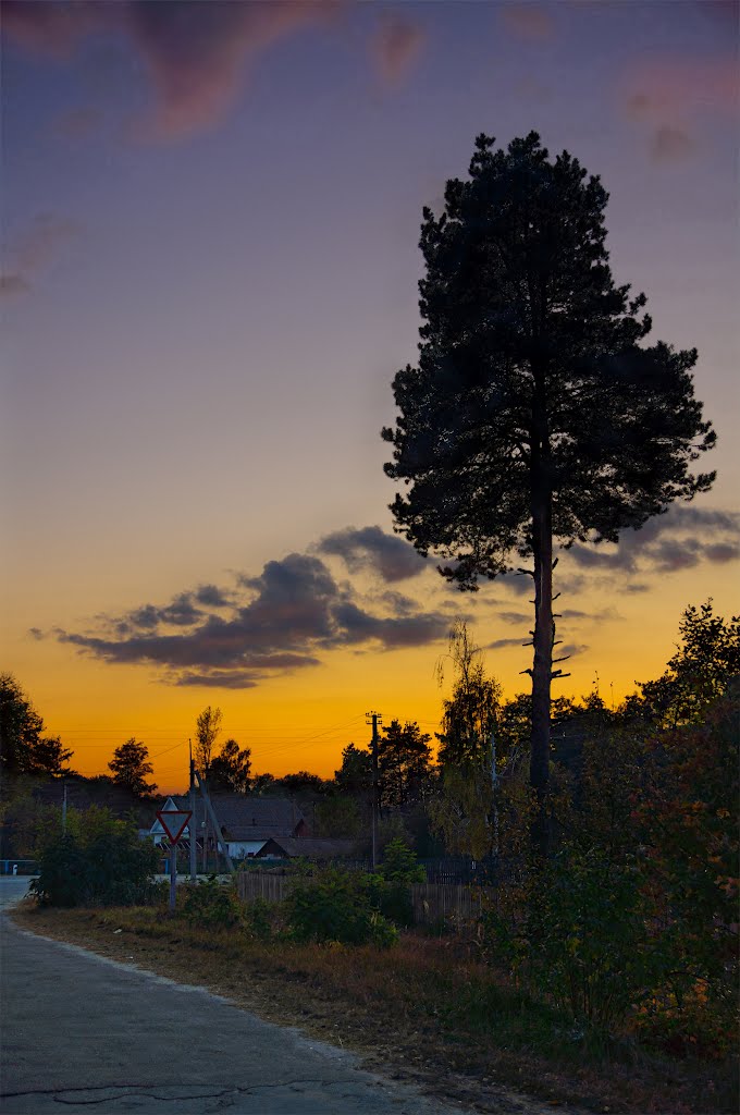 Страж сумерек / Guardian of twilight *HDR*