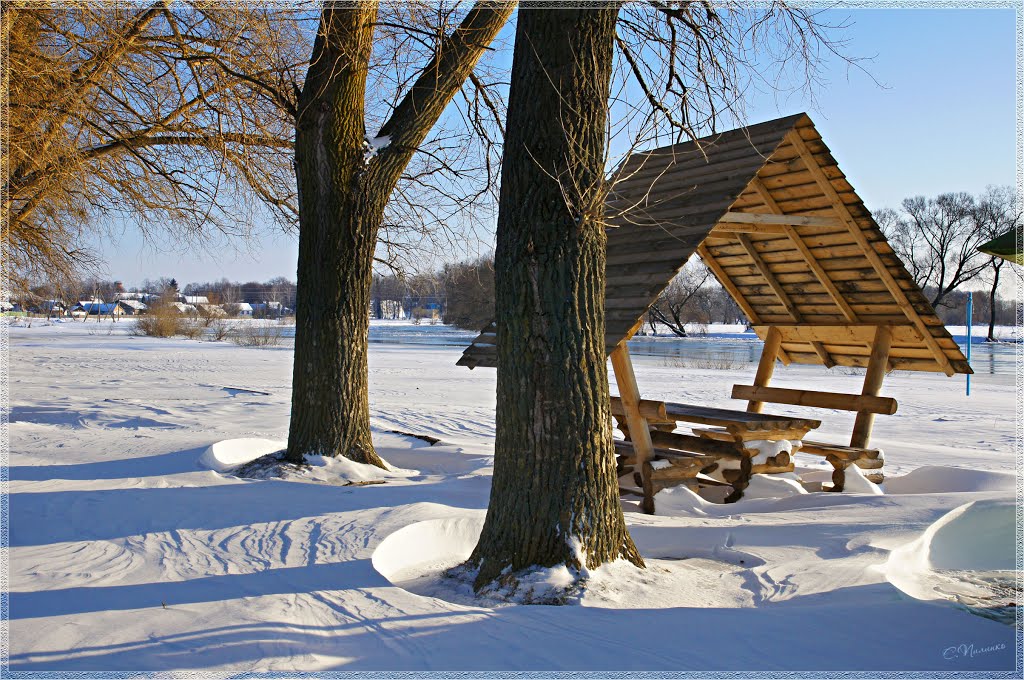 В ожидании весны / Waiting for Spring