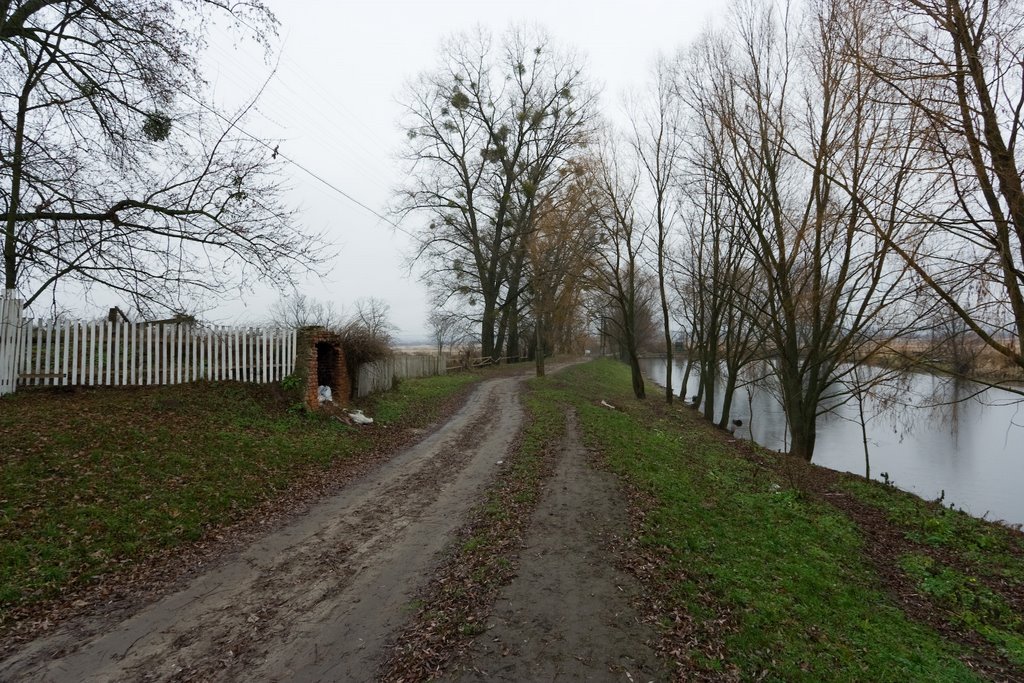 Козацький льох