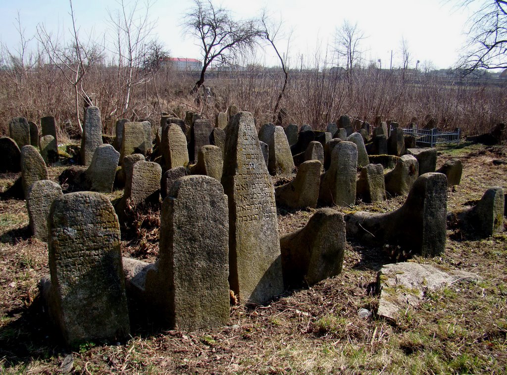 Berdychiv - old jewish cemetery, старий єврейский цвинтар, старое еврейское кладбище