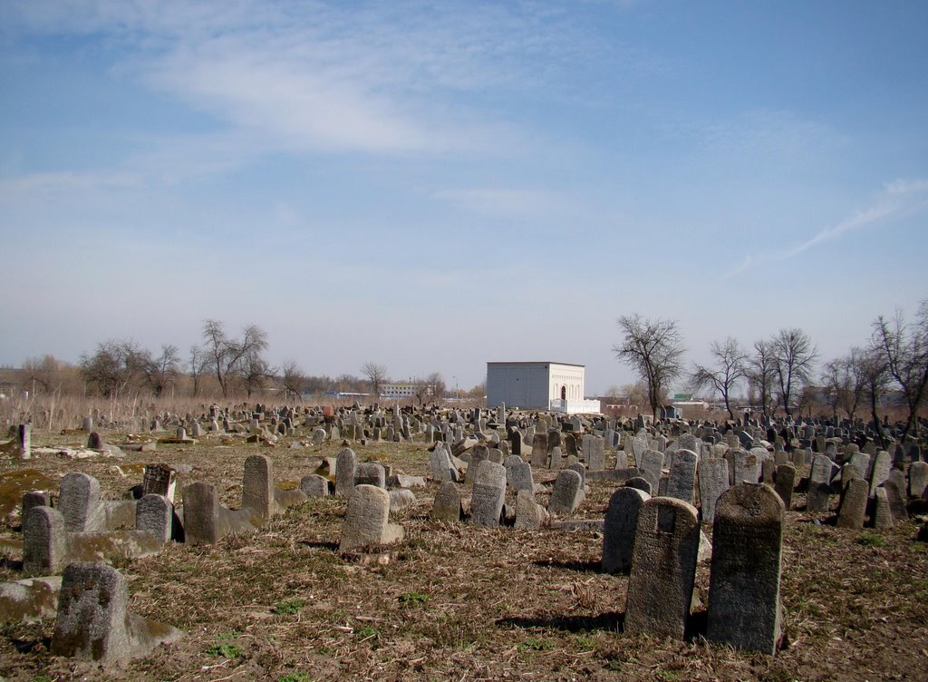 Berdychiv - old  jewish cemetery, старий єврейский цвинтар, старое еврейское кладбище 2