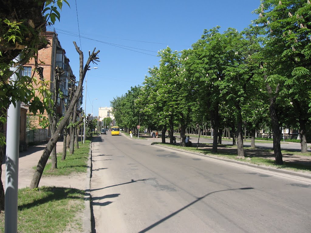 каштанова алея