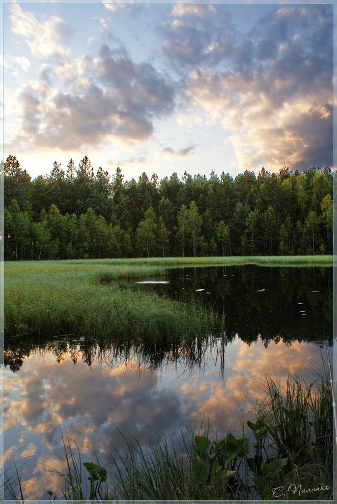 Лесное озеро. Forest lake/