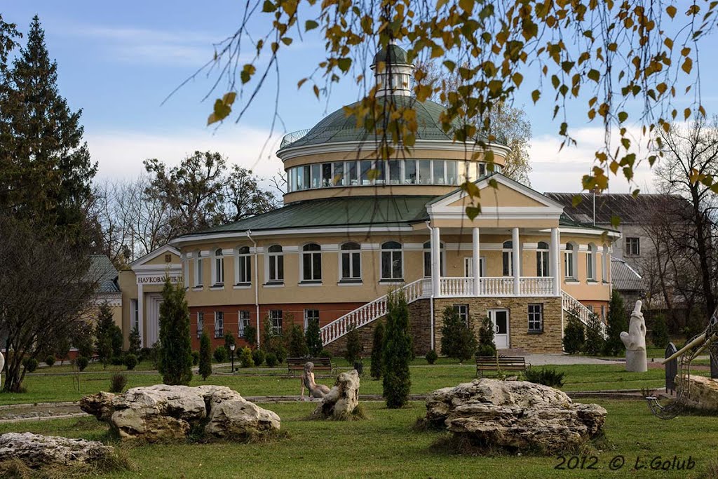 Острозька академія *Ostroh Academy*
