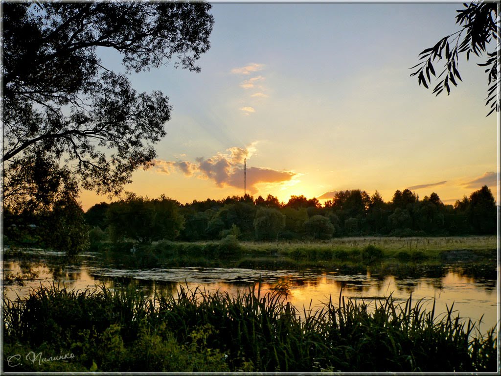 ♥ В золоте заката / In the golden light of sunset