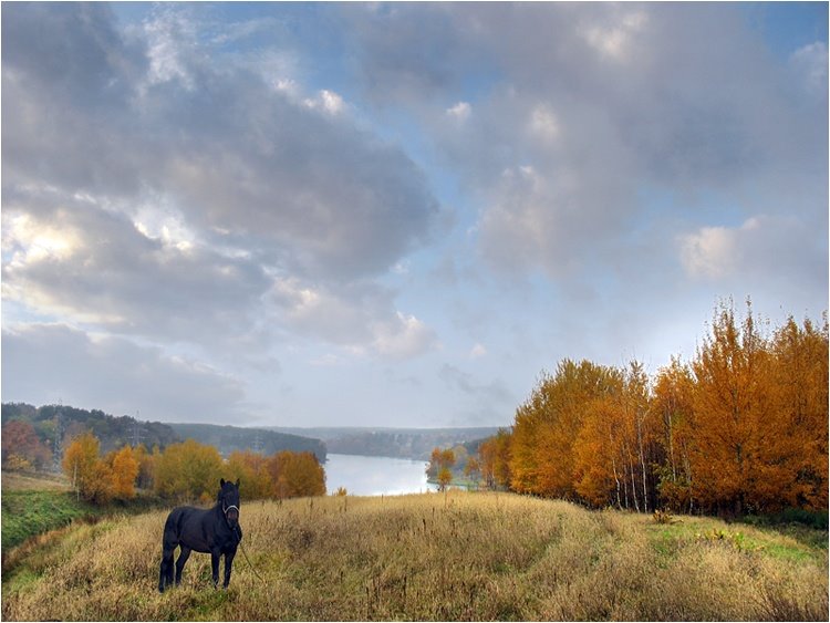 Осенние мотивы II