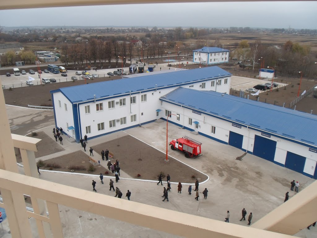Нибулон