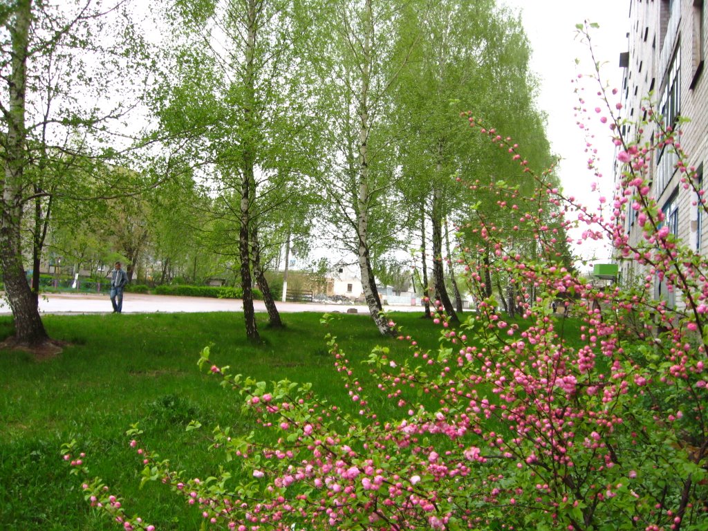 Walking along Marksa str.