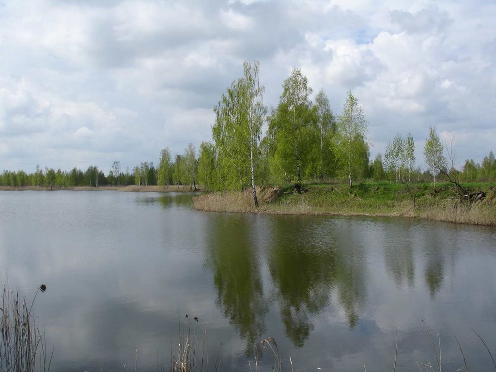 центральная Украина