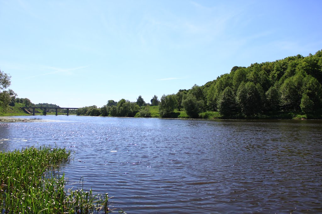 Horodnytsya. The view to the Sluch river and the bridge from the park.