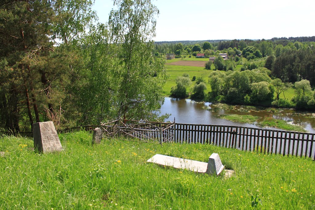 In the Jewish cemetery of Horodnytsa.