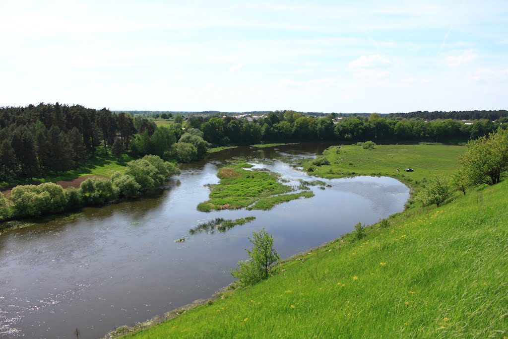 The Sluch river from the cemetery hill in Horodnytsya.