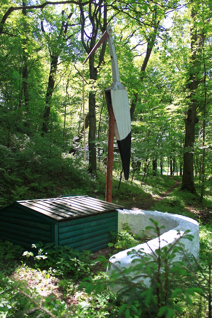 Horodnytsya park. The well with a stork-like shadoof.