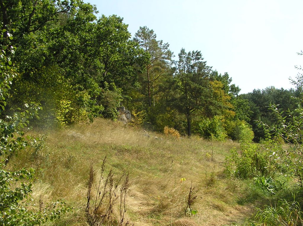 Sluch River2