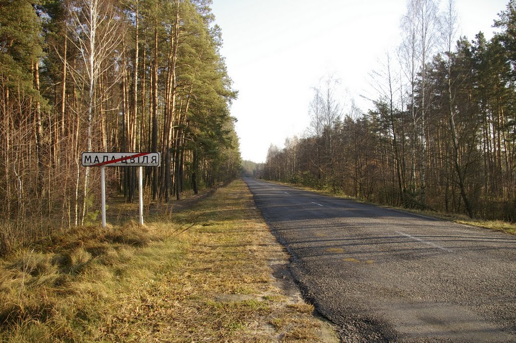 Дорога у Малой Цвили.