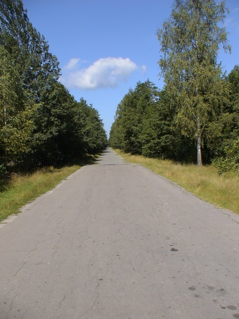 Bykivka
