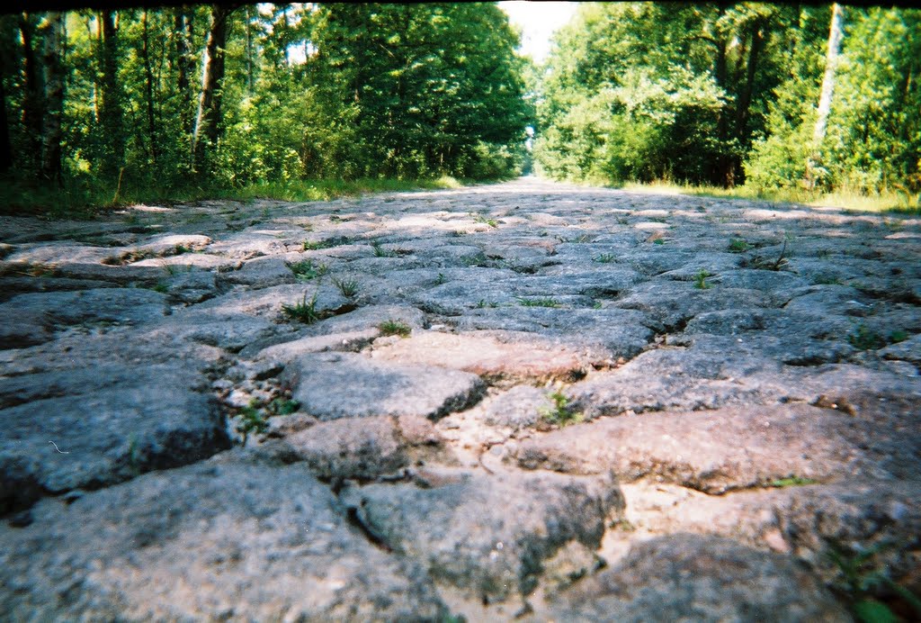 Дорога