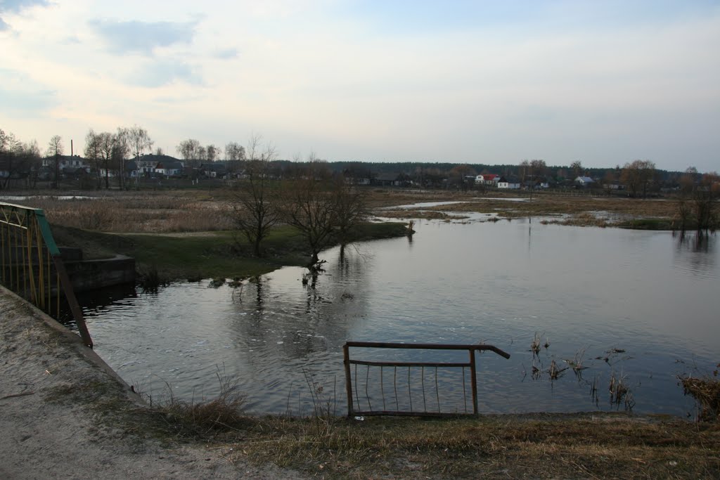За дамбой