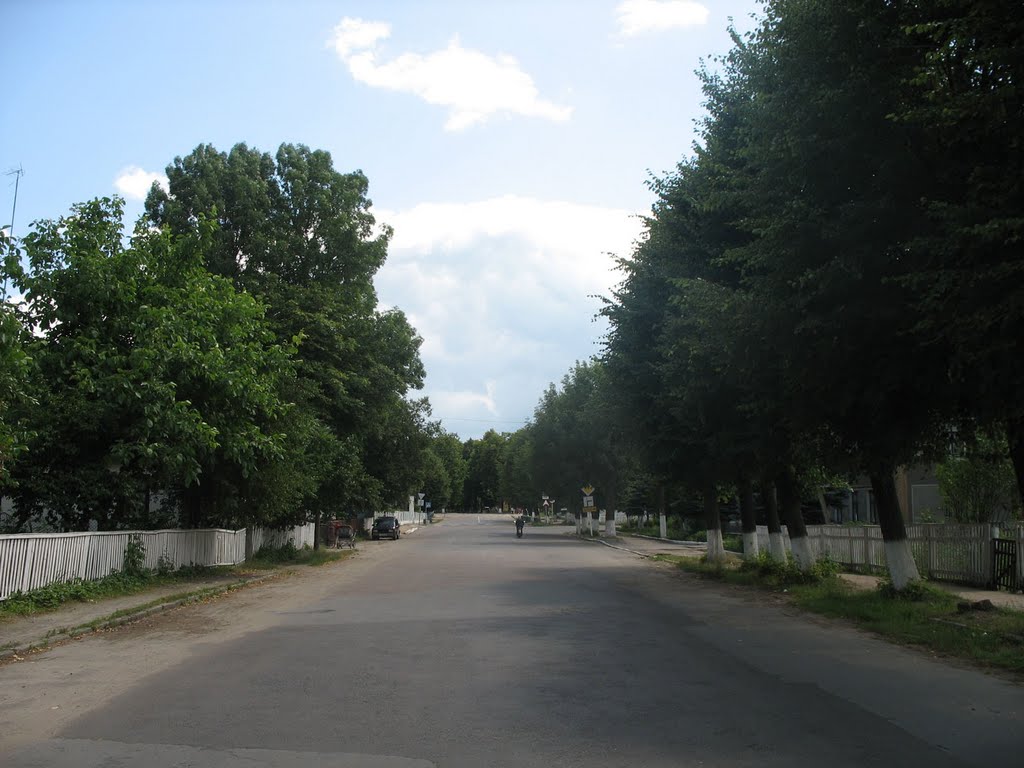 ул. Шевченка
