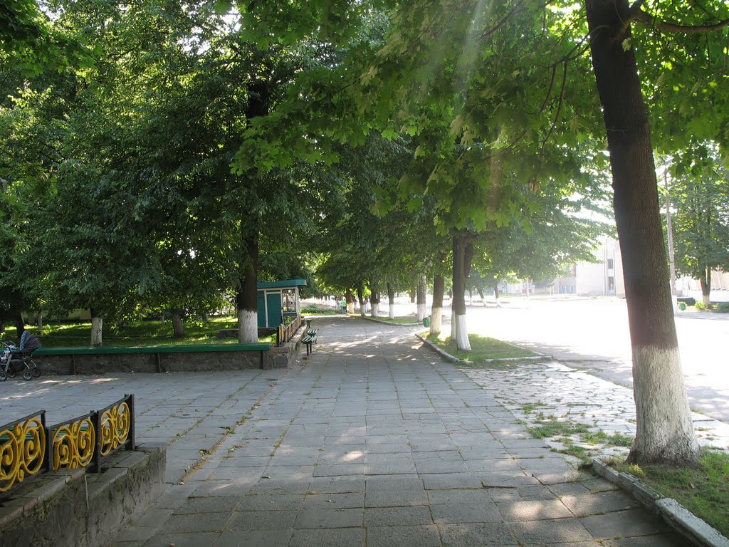 Алейка возле парка