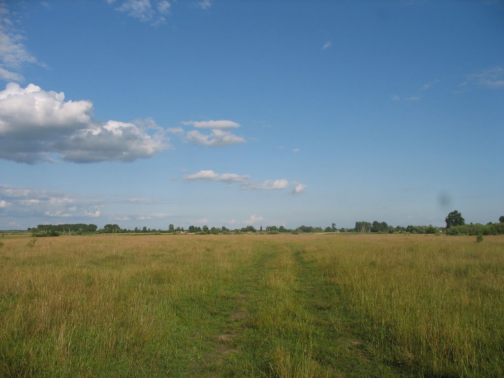 Поле