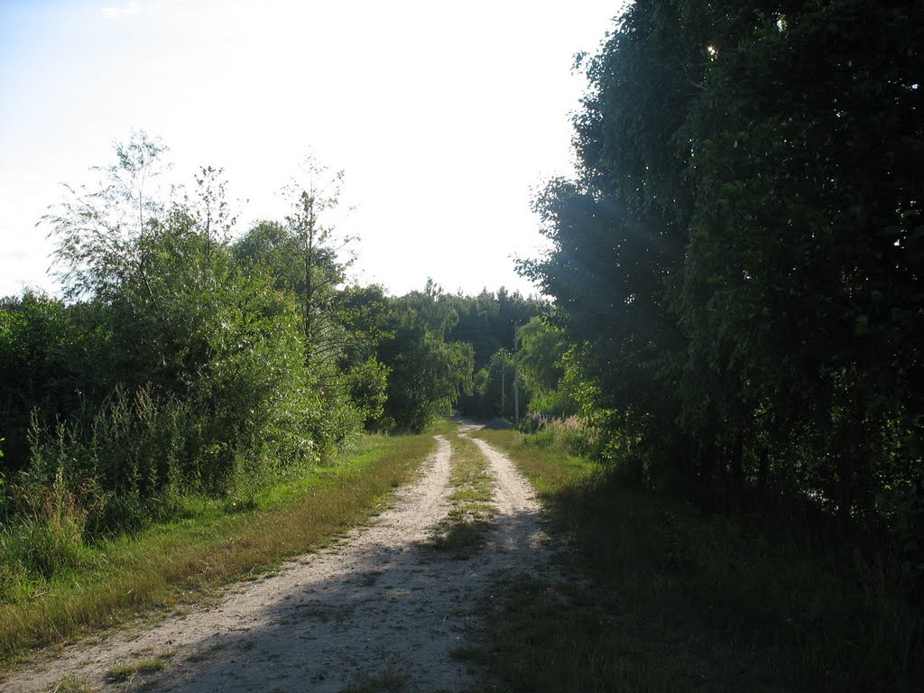 С поля к лесу