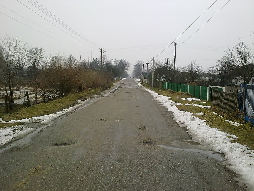Вулиця Шевченко