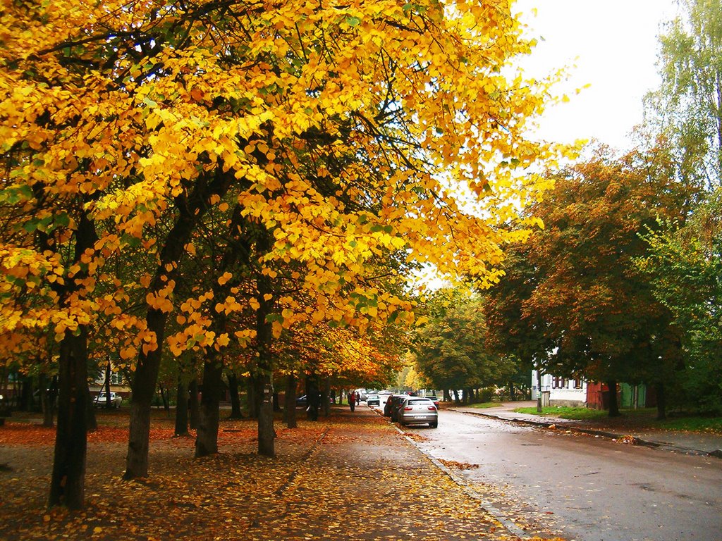 Золотая осень