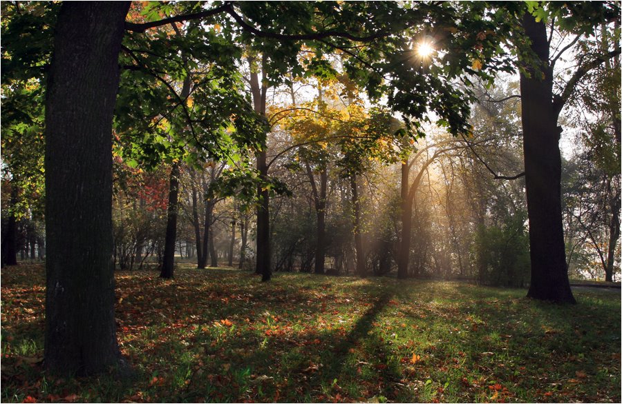 Осенний парк.2008
