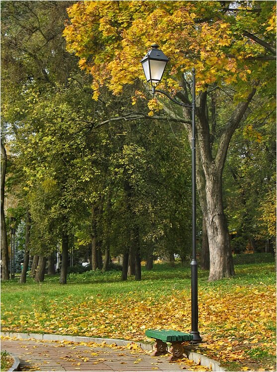 Осеннее настроение I
