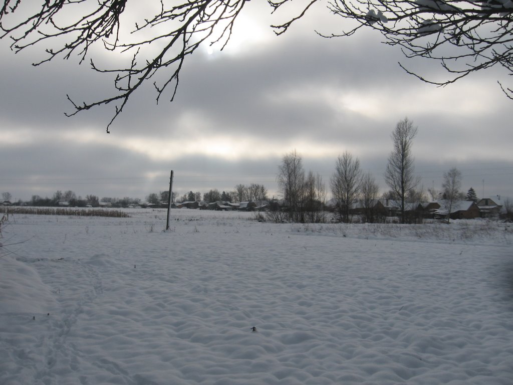 winter view