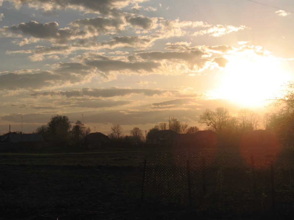 Evening sun