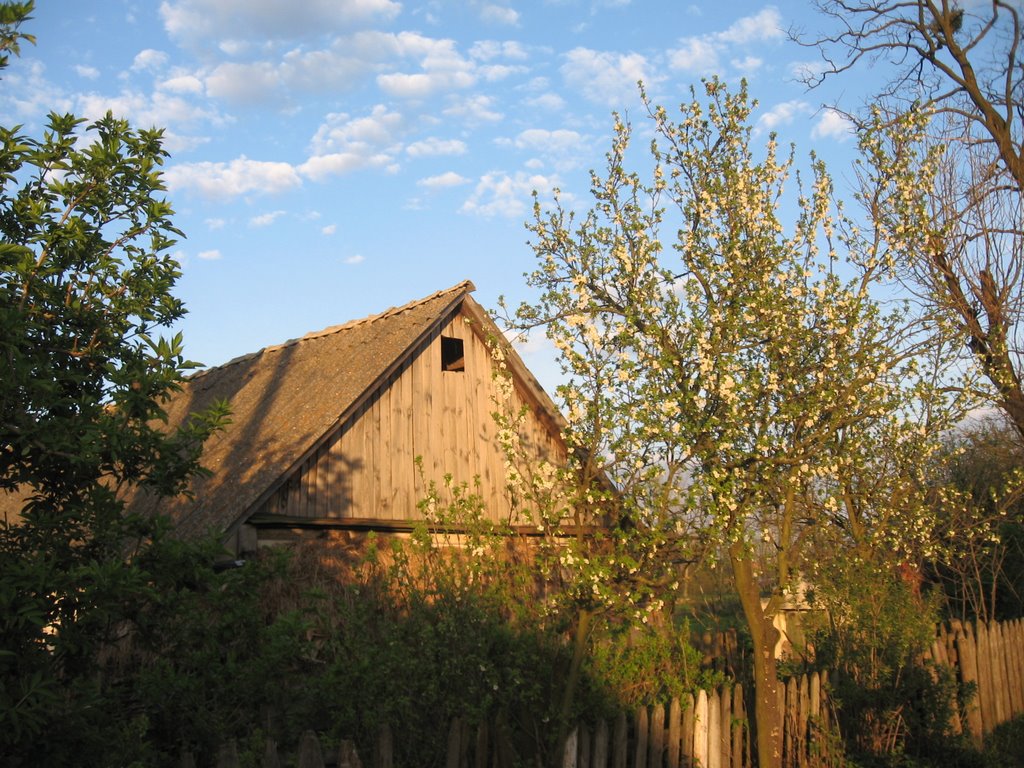 Old house