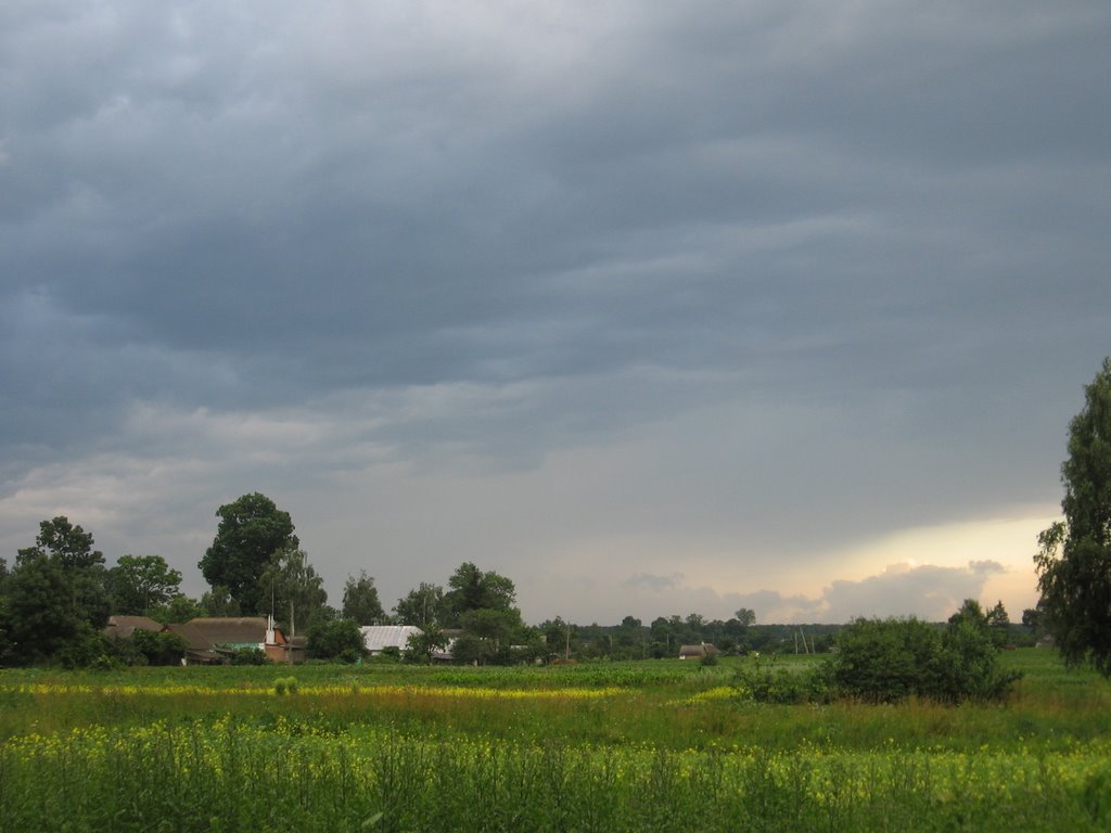 The field