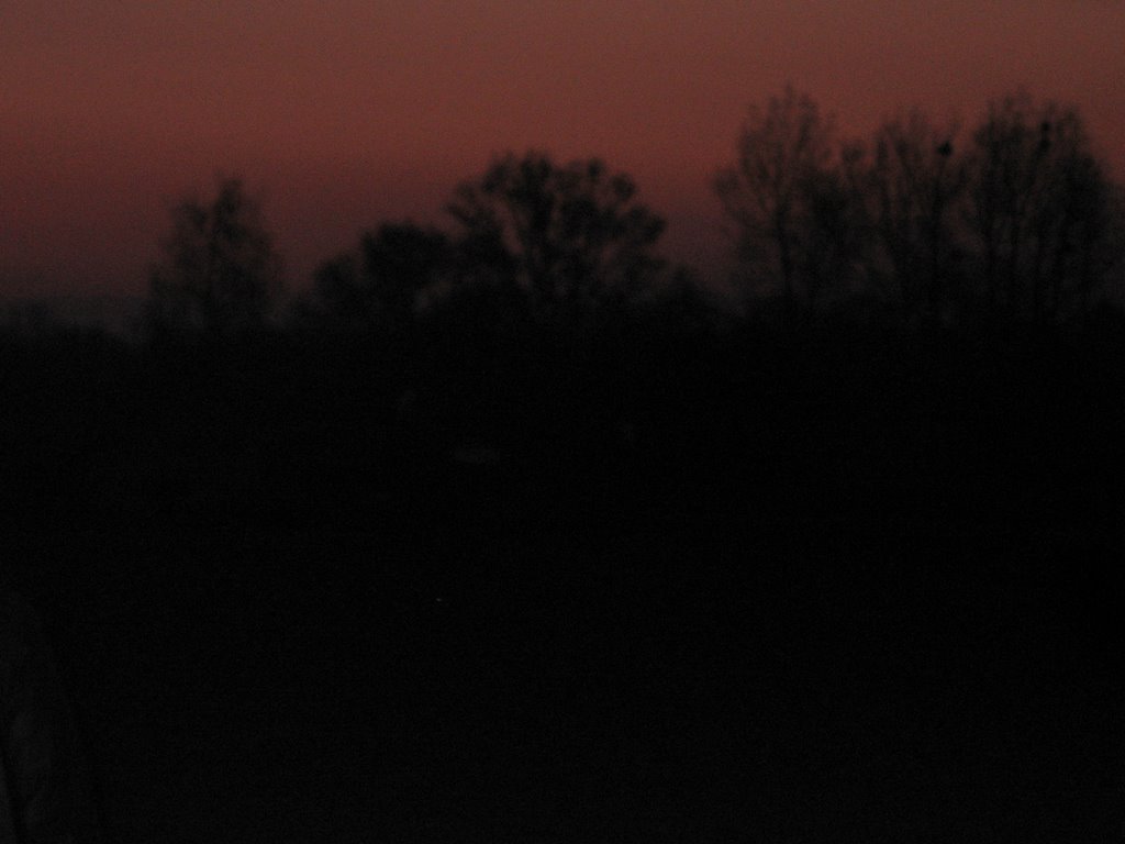 Shadows of the morning