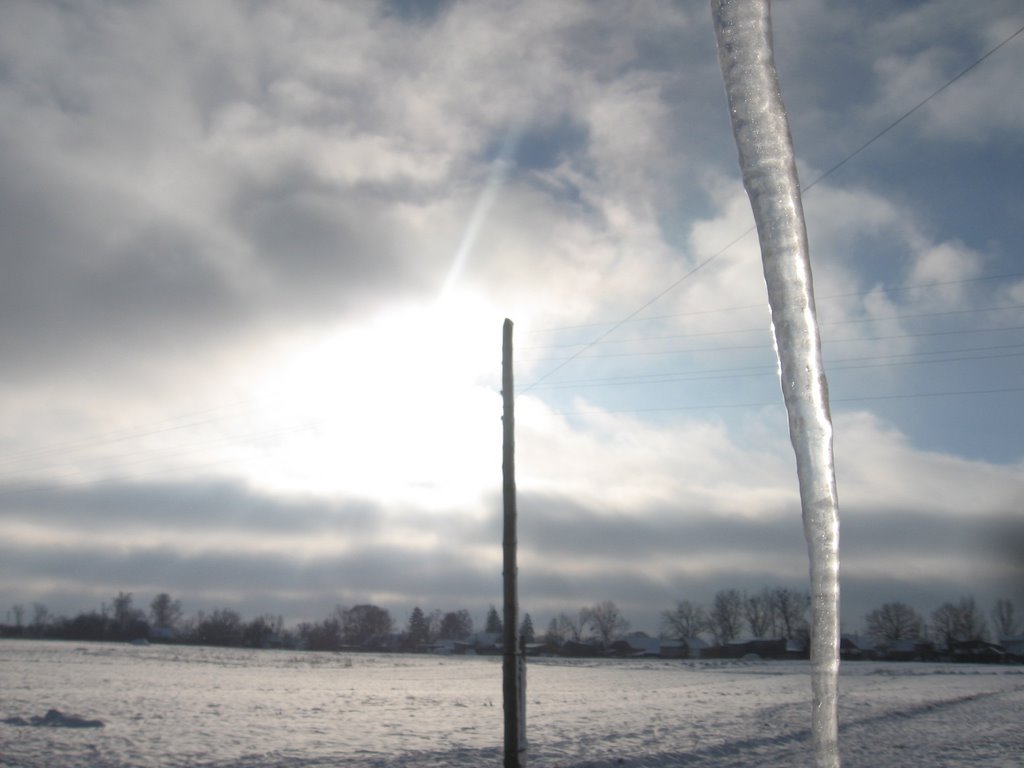 cold enough