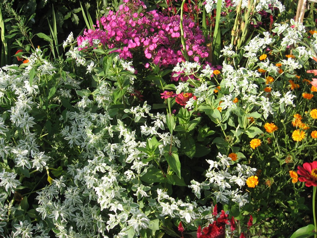 Flowers)))