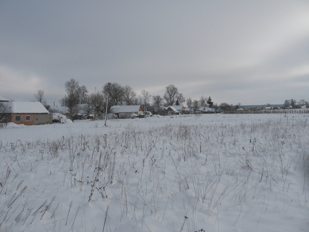 The winter field)