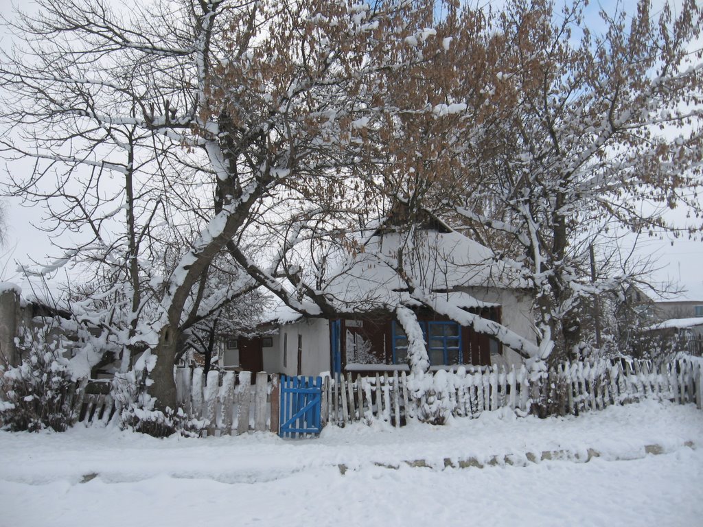 Old house.