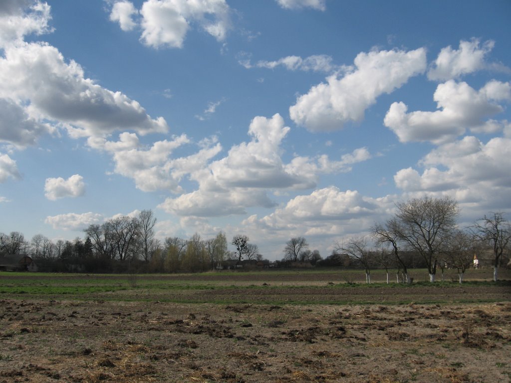 Sping day)