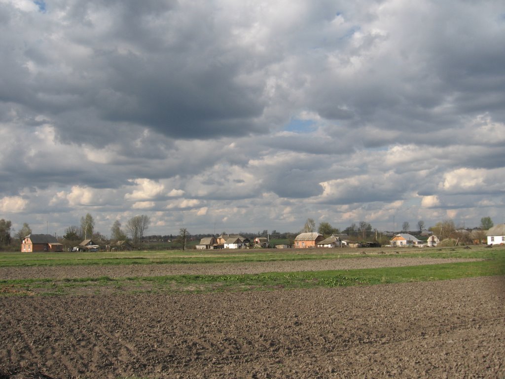 Spring field)