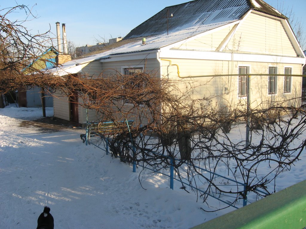 Мой старый дом