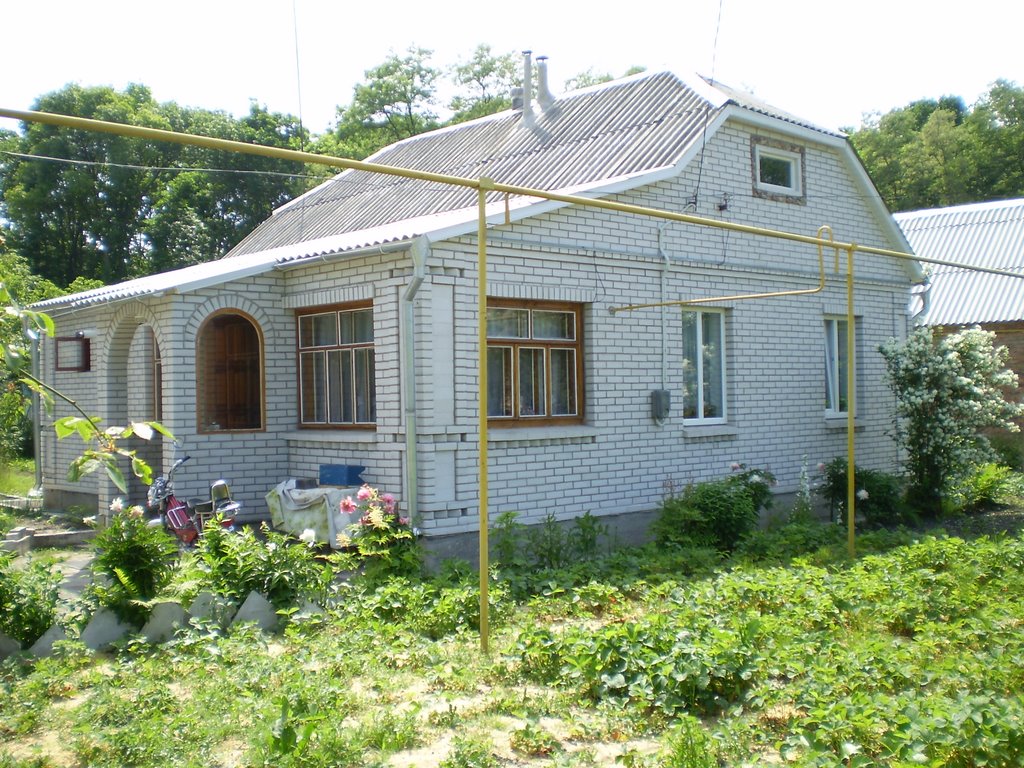 My Home