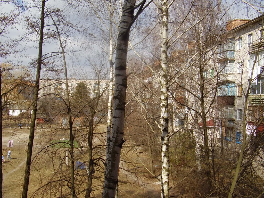 Двор Грушевского,74