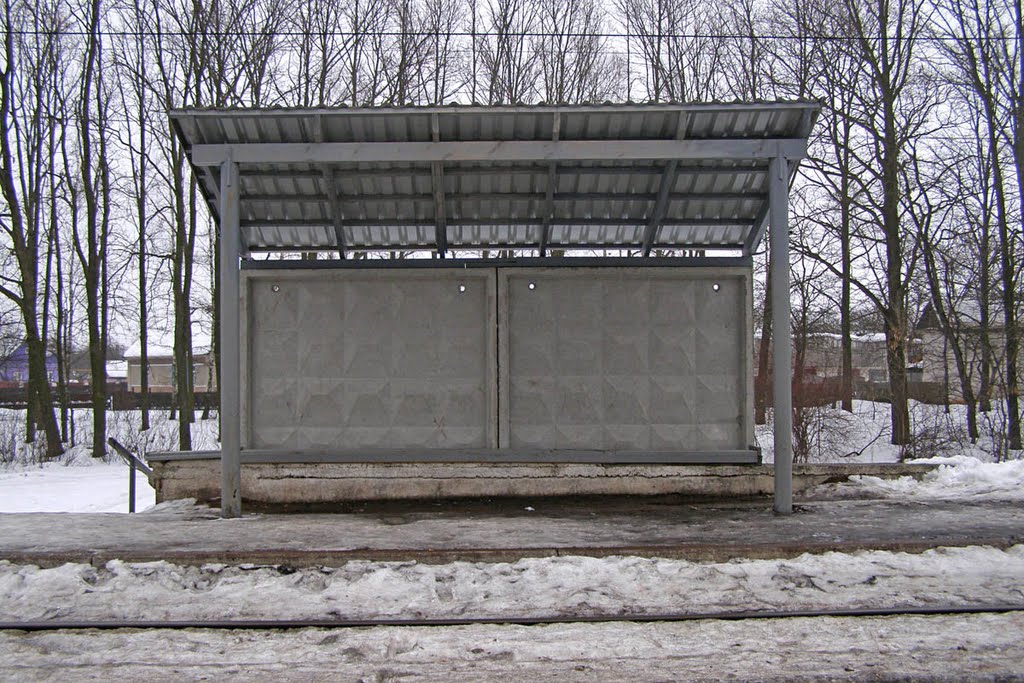 Пассажирский павильон о.п. Сады, г. Коростень, 20.02.2010